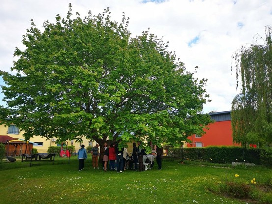 Prüfungsteilnehmende stehen unter einem Baum im Garten der vhs